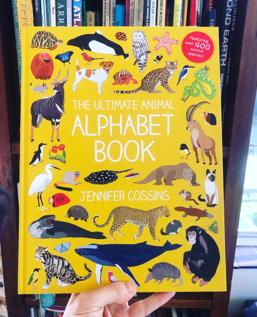 The ultimate animal alphabet book by Jennifer Cossins. Published by Lothian Children’s books.