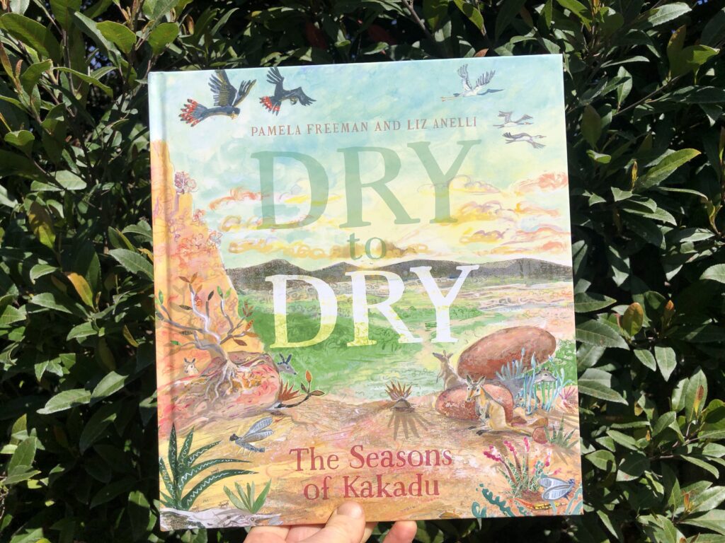 Dry to Dry by Pamela Freeman and Liz Anelli