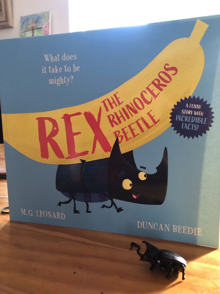 Rex: The rhinoceros beetle by M.G. Leonard & Duncan Beedie