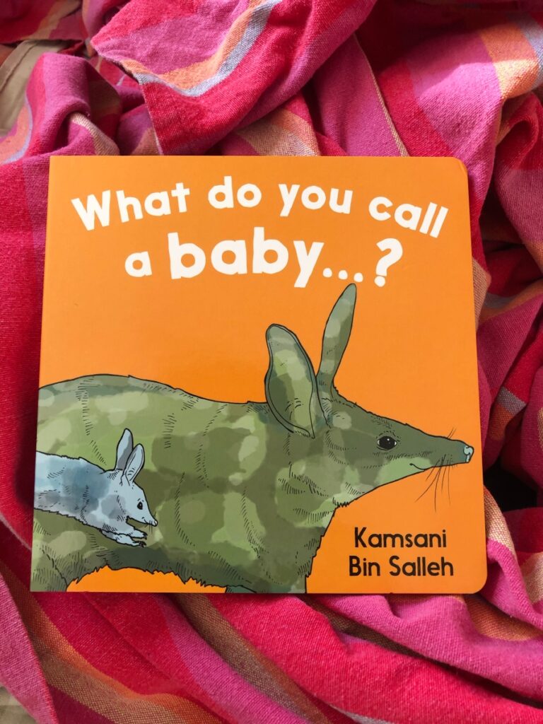 What do you call a baby……? by Kamsani Bin Salleh