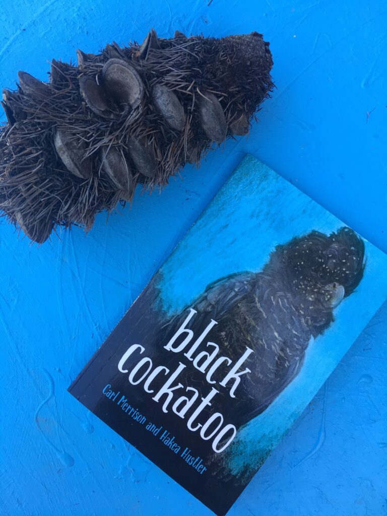 Black Cockatoo by Carl Merrison and Hakea Hustler