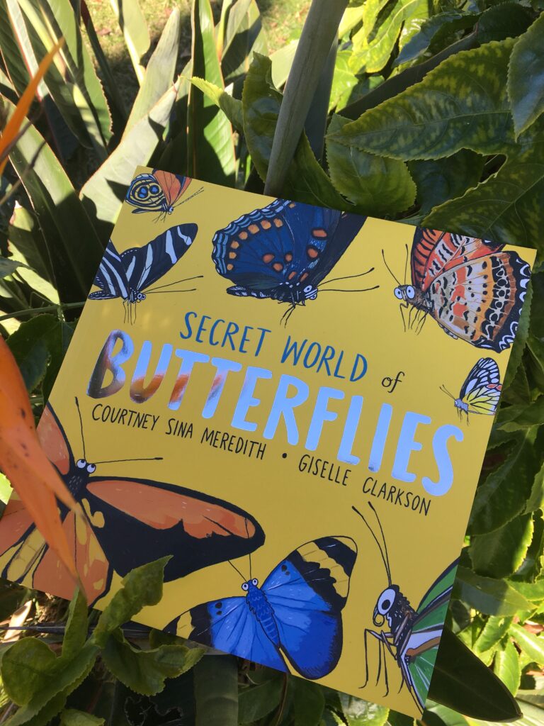 Secret world of butterflies by Courtney Sina Meredith and Giselle Clarkson