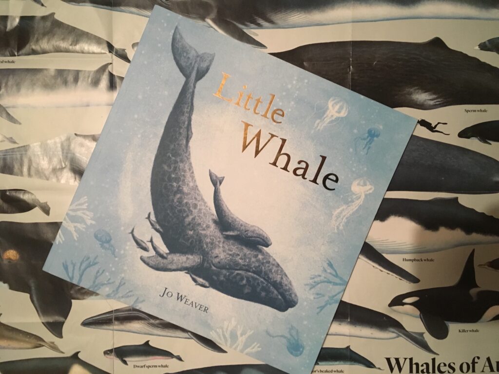 Little Whale by Jo Weaver.