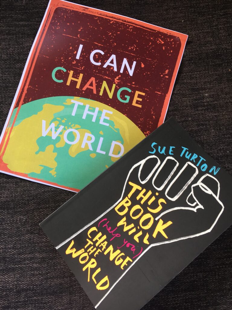 This book will (help you) change the world by Sue Turton.