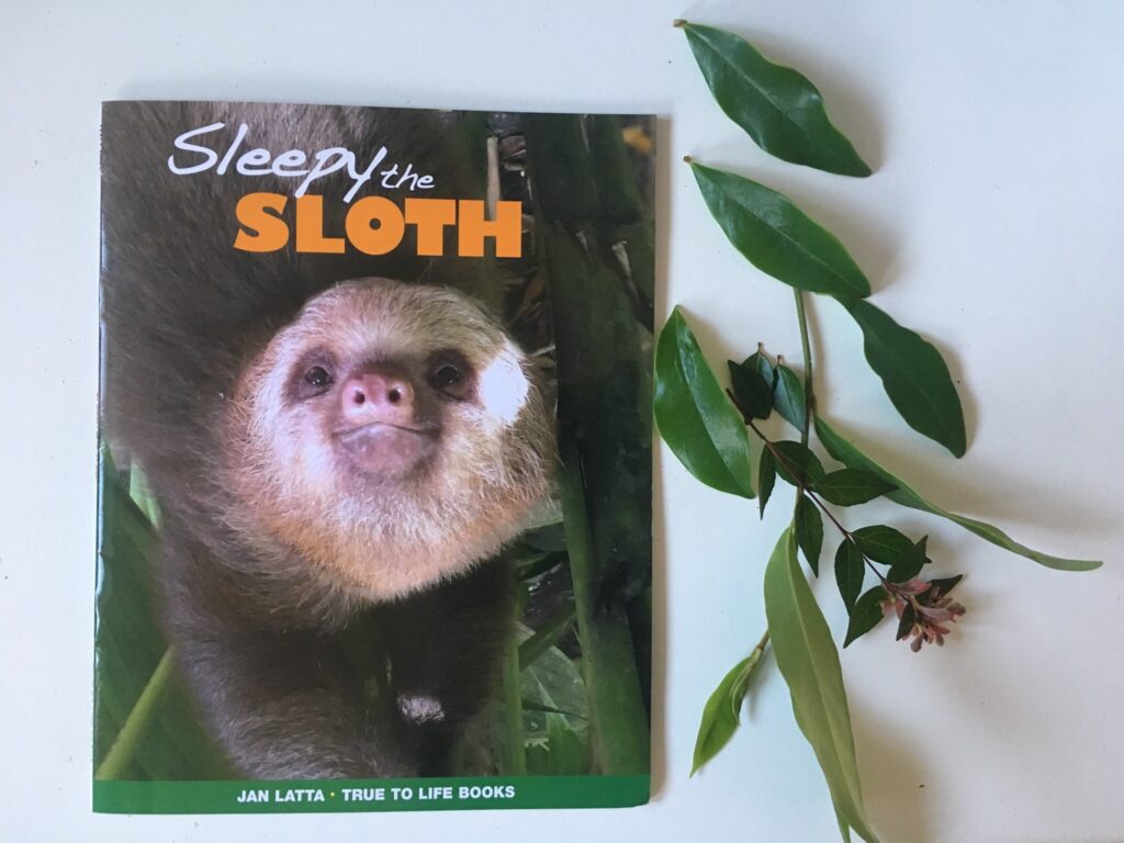 Sleepy the sloth by Jan Latta