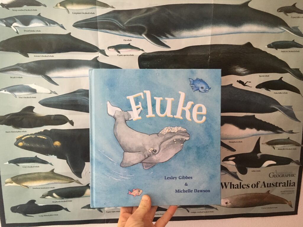 Fluke by Lesley Gibbes and Michelle Dawson