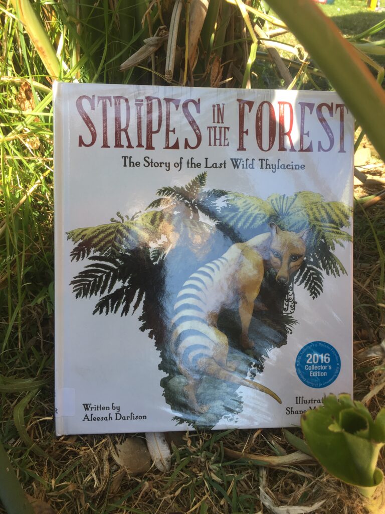 Stripes in the forest by Aleesah Darlison and Shane McGrath