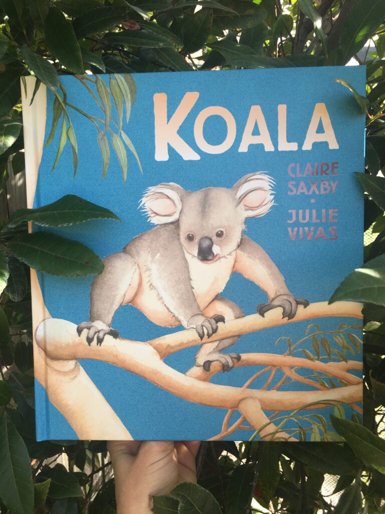 Koala by Claire Saxby and illustrated by Julie Vivas