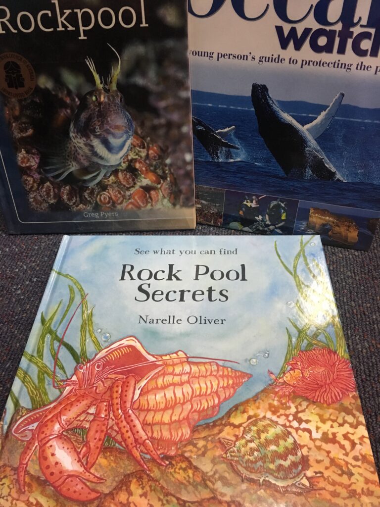 Rock Pool Secrets by Narelle Oliver