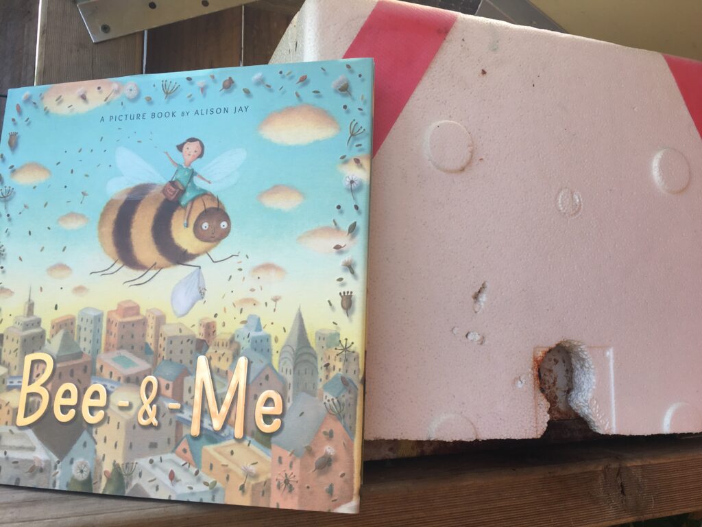 Bee and Me by Alison Jay