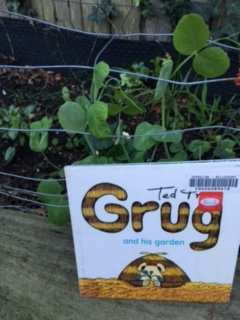 grug