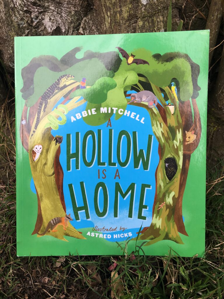 A hollow is a home by Abbie Mitchell. Illustrated by Astred Hicks.