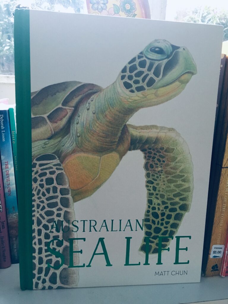 Australian Sea Life written and illustrated by Matt Chun