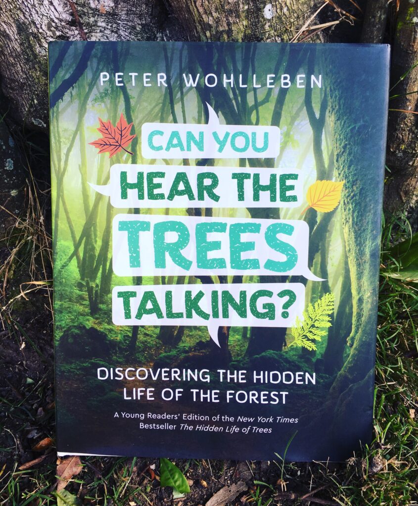 Can you hear the trees talking? Discovering the hidden life of the forest by Peter Wohlleben