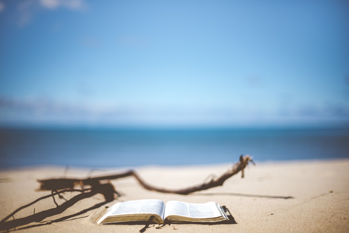 beach_blur_blurry_book_book_pages_close_up_coast_focus-938012.jpg!d