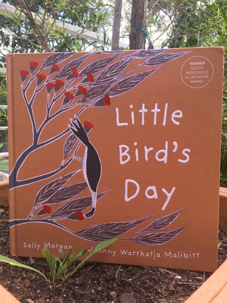 Little Bird’s Day by Sally Morgan and illustrated by Johnny Warrkatja Malibarr