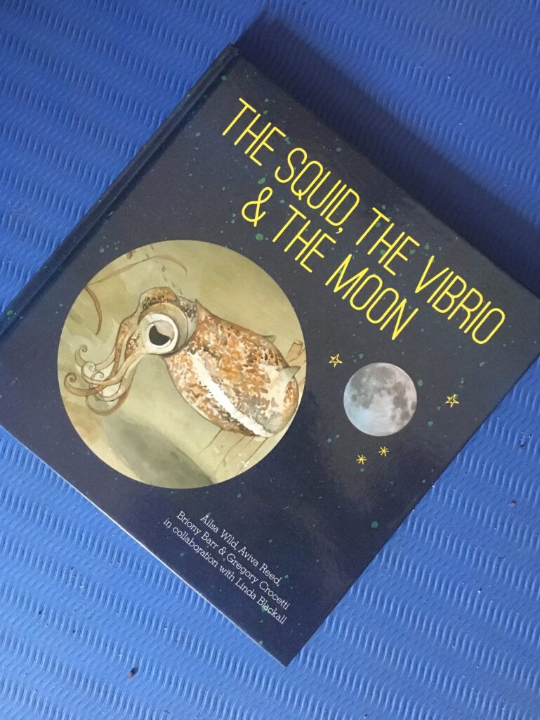 The Squid, the Vibrio and the Moon by Ailsa Wild, Aviva Reed, Briony Barr, Gregory Crocetti and Linda Blackall.