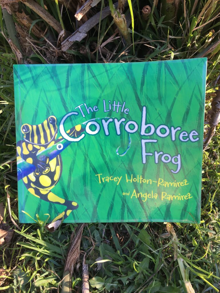 The little Corroboree Frog by Tracey Holton-Ramirez and Angela Ramirez