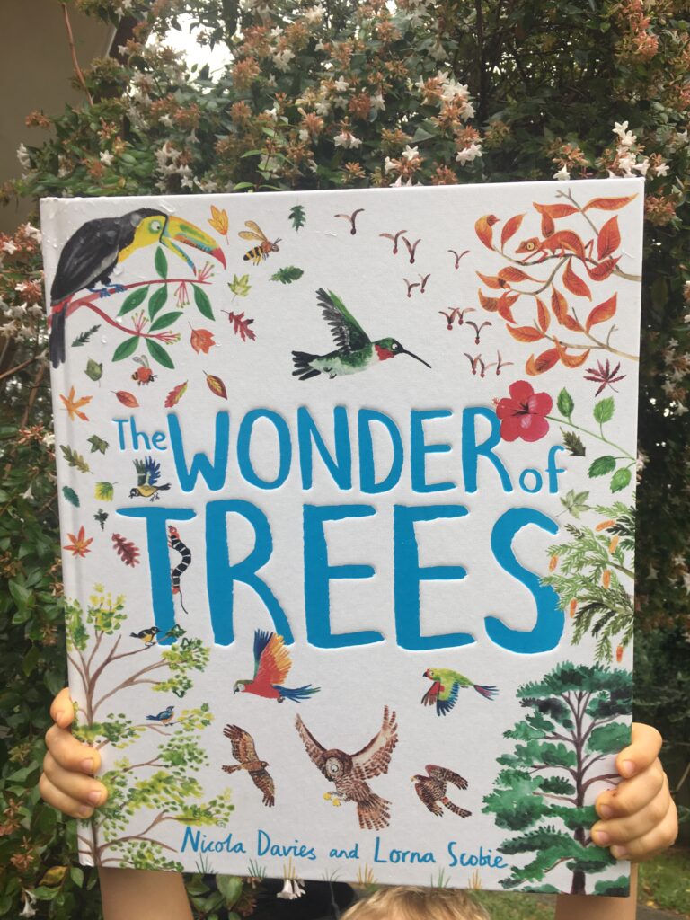 The wonder of trees by Nicola Davies and Lorna Scobie